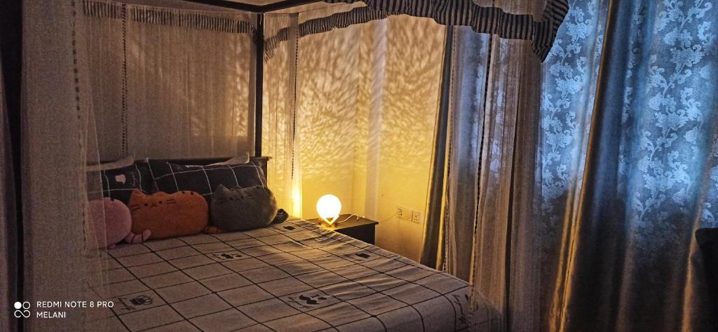 Postel nebo postele na pokoji v ubytování Mount Elegance