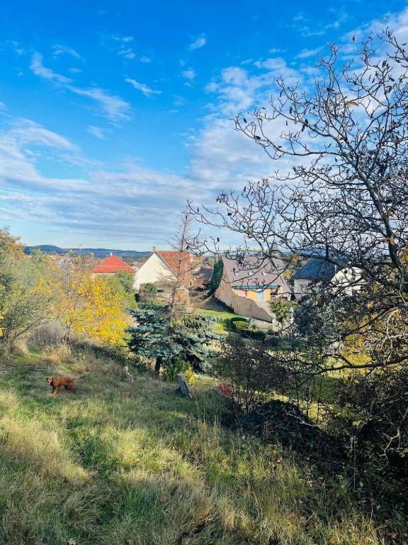 Príroda v okolí apartmánu