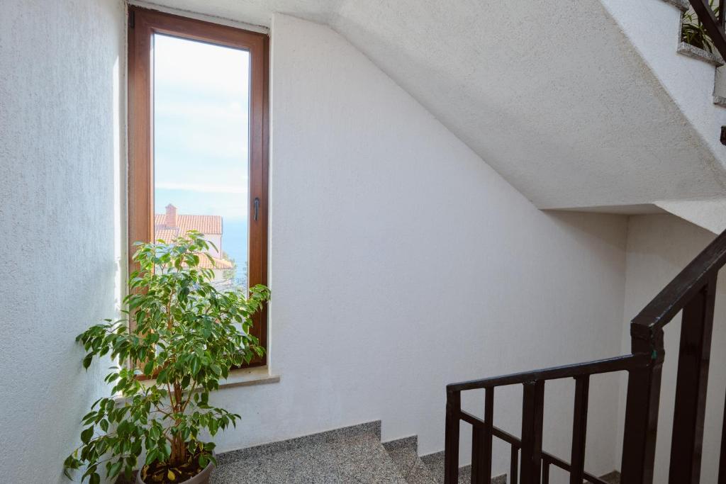 Fotografie z fotogalerie ubytování Apartments Katja v destinaci Mali Lošinj