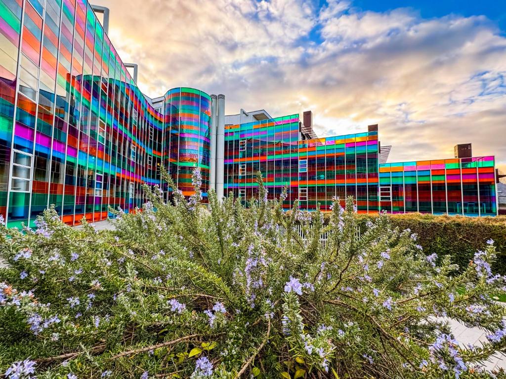 Vonkajšia záhrada v ubytovaní Hotel Jardines de Uleta Suites