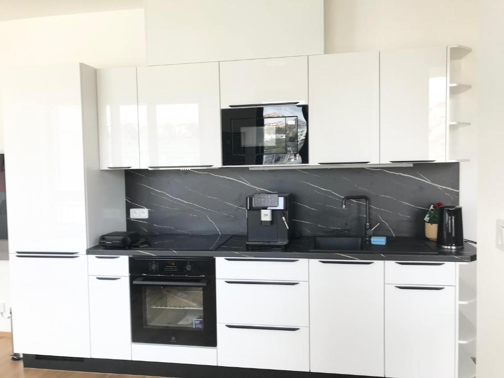 Kuchyň nebo kuchyňský kout v ubytování apartmánplus02