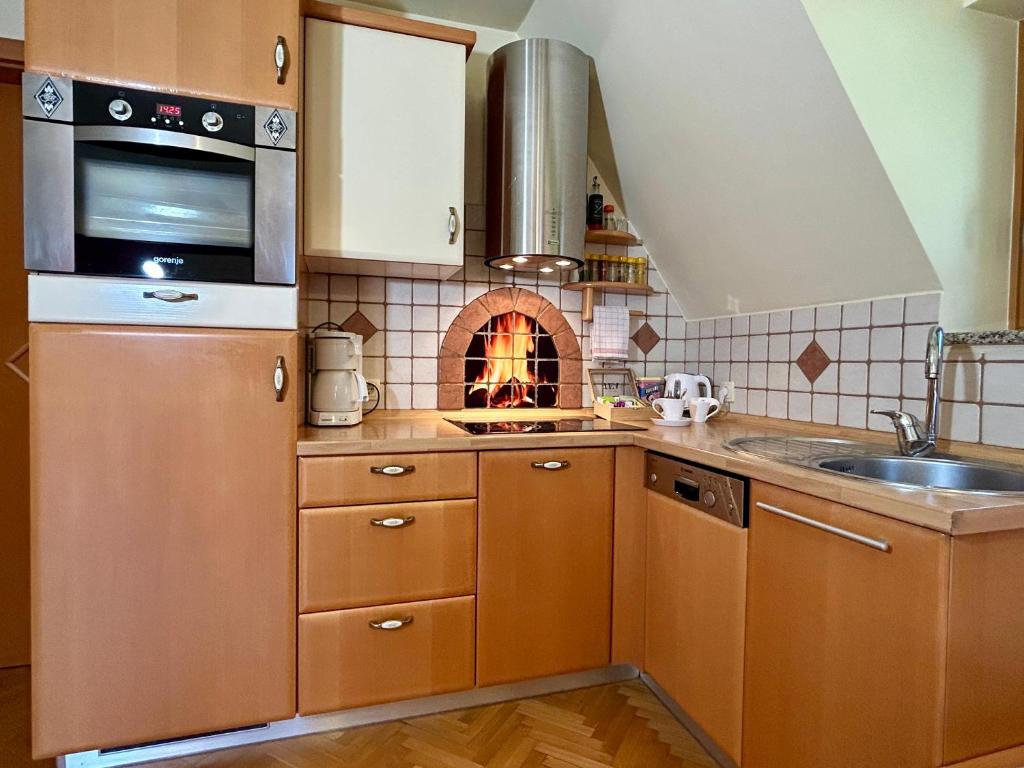 Kuchyň nebo kuchyňský kout v ubytování Apartment Crystal Rose