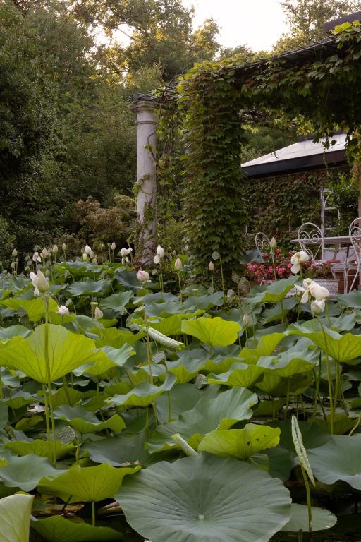 Zahrada ubytování Relais La Foleia - Luxury Villa with private lake