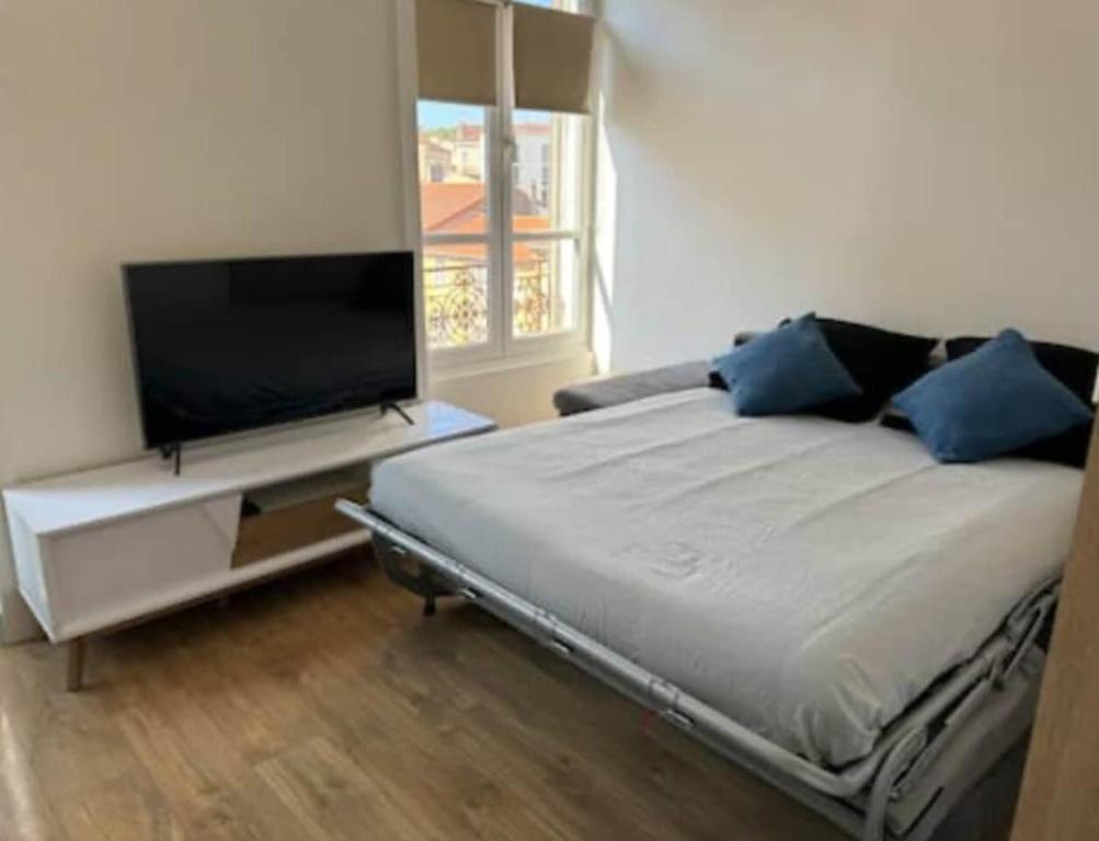 une chambre avec un lit et une télévision à écran plat dans l'établissement Charmant studio équipé, à Oullins