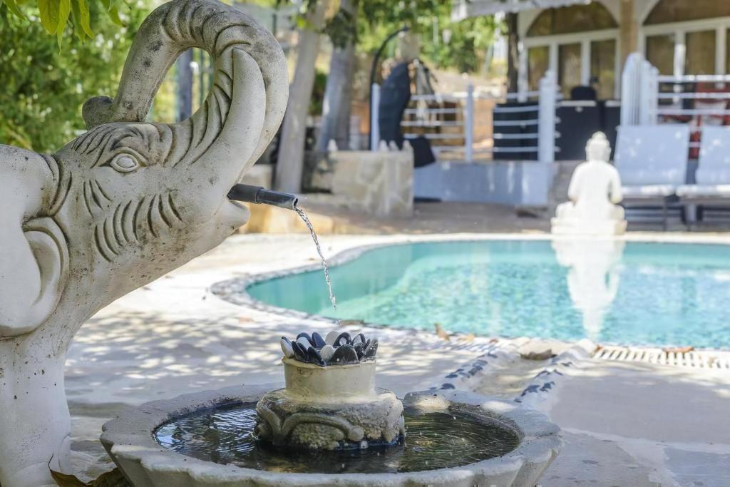 Bazén v ubytování Das Lotus Haus nebo v jeho okolí