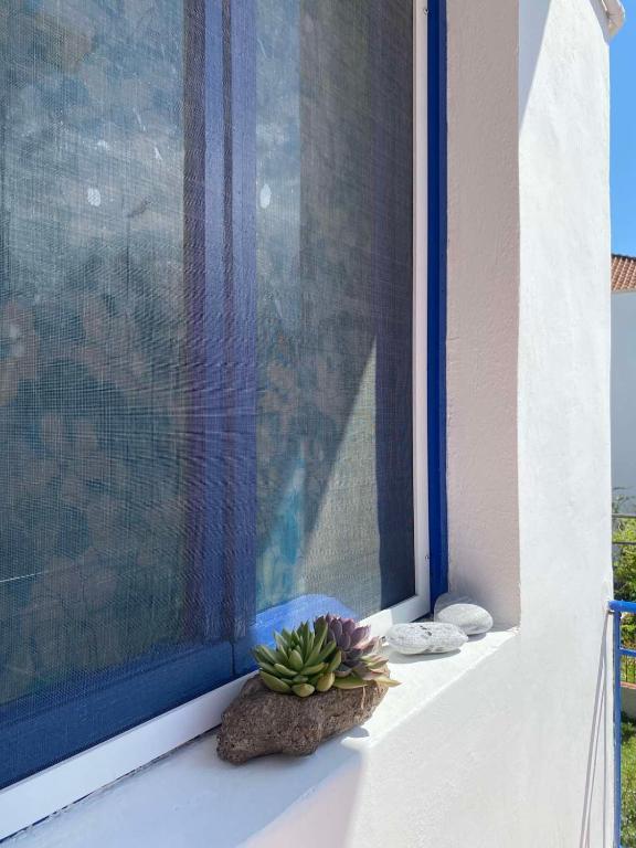 Fotografie z fotogalerie ubytování Mana mia Seaside Apartments v destinaci Leptokaria