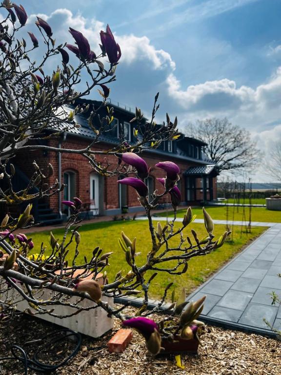 ein Baum mit lila Blumen vor einem Haus in der Unterkunft Ferienwohnung Zur Alten Tischlerei in Dissen
