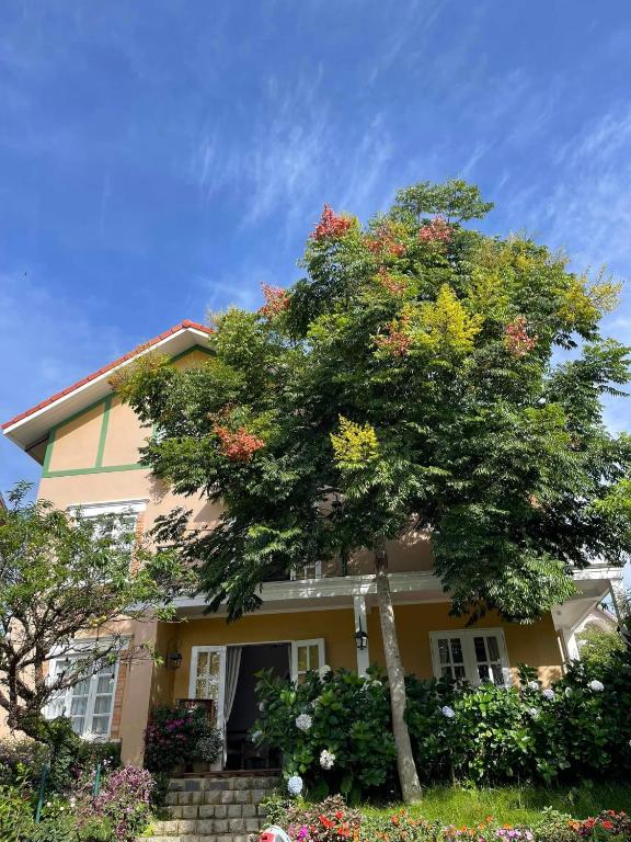 Zahrada ubytování BICH DAO Boutique - Dalat