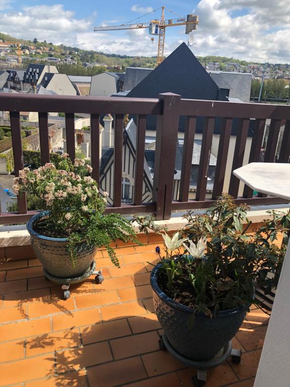 Deux plantes en pot sont assises sur un balcon dans l'établissement Charmant duplex centre ville Deauville, à Deauville