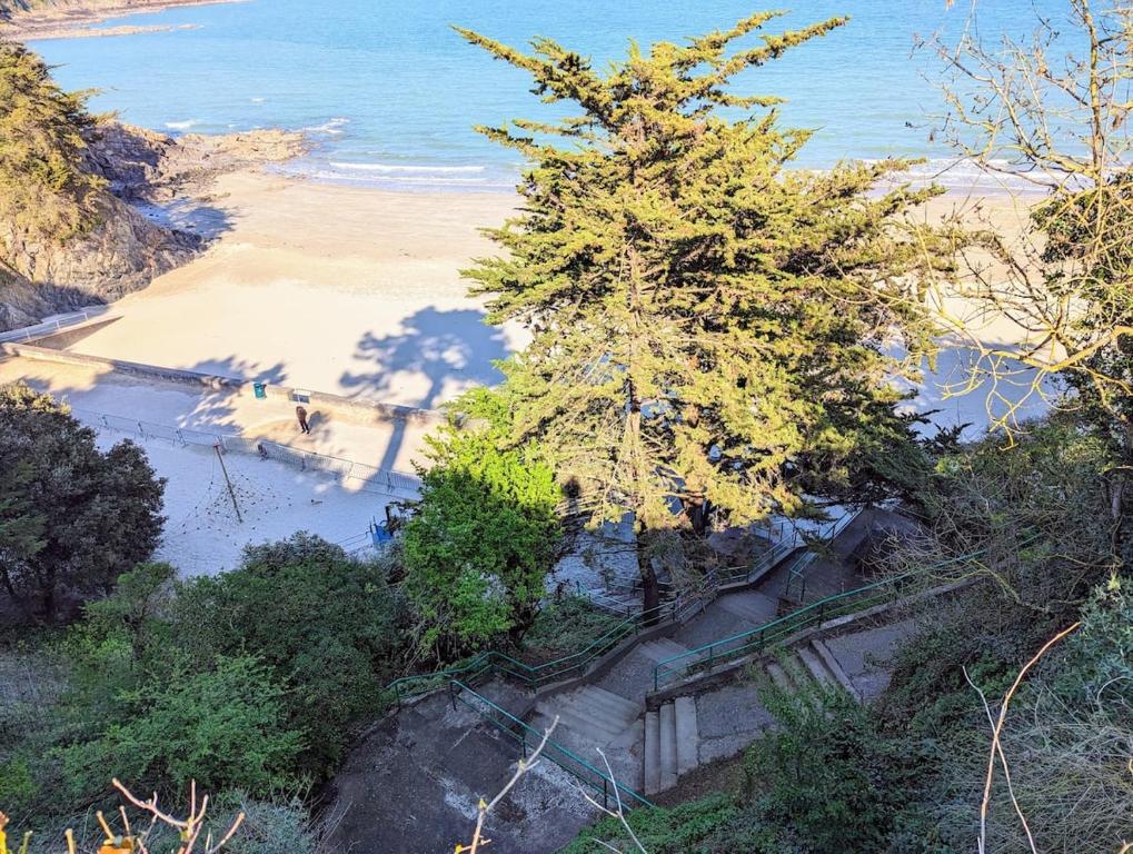 une vue aérienne d'une plage avec un arbre dans l'établissement La corniche- vue panoramique sur mer, à Binic