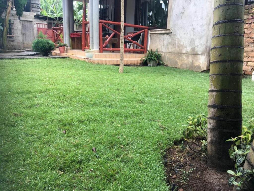 En have udenfor Humphrey home stay