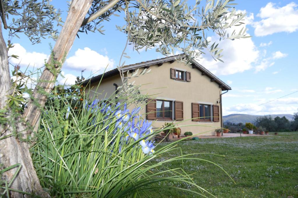 a house in a field with blue flowers at Agriturismo Colle Bello in Spoleto