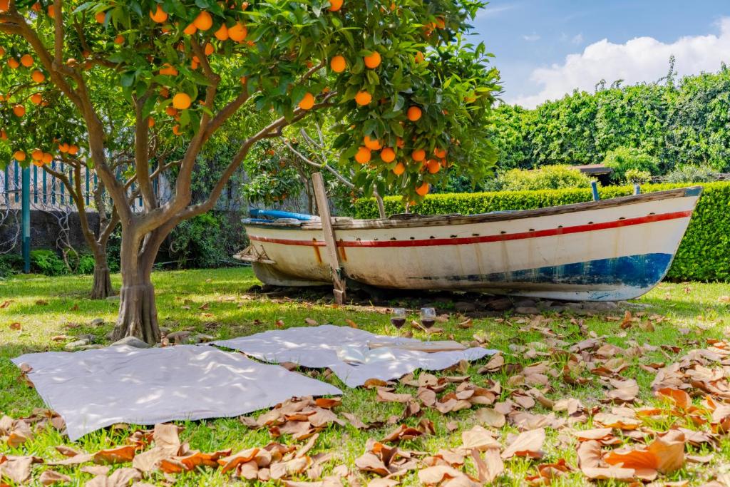 A garden outside Etna, mare e verde