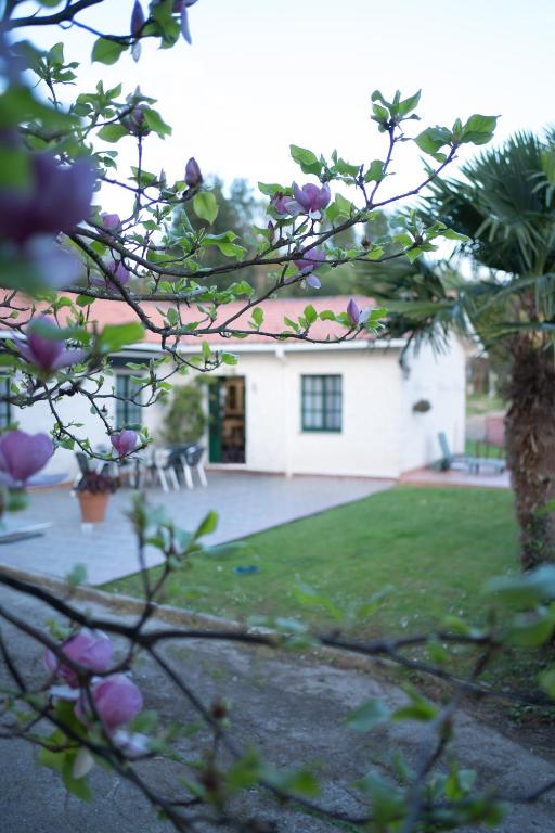 a house in the background with a tree with purple flowers at Casa Milladoiro in Miño