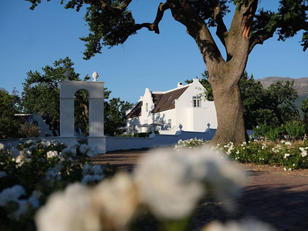 a white house with a tree and white flowers at Adara Palmiet Valley Luxurious Boutique Farm Hotel in Paarl