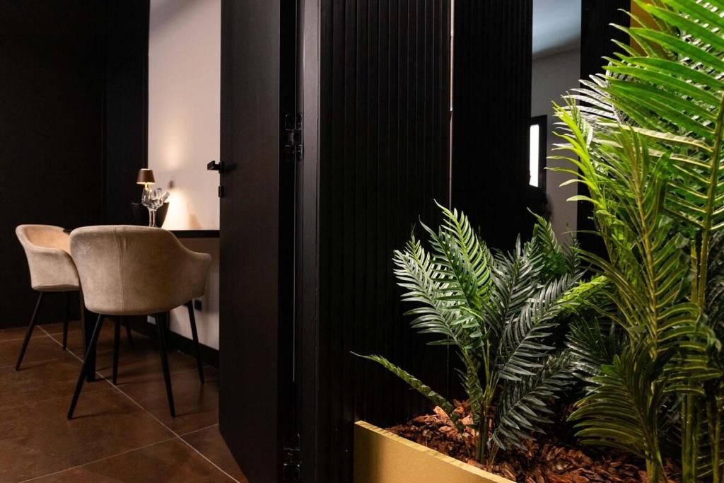 Fotografie z fotogalerie ubytování Black Room Suite and SPA v destinaci Carini