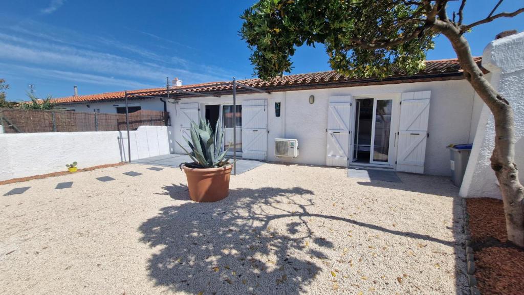une maison avec une plante en pot devant elle dans l'établissement Villa Verger - Maison de plain pied - 2 chambres - clim - 2 grandes terrasses - proche plage et commerces, à Saint Cyprien Plage