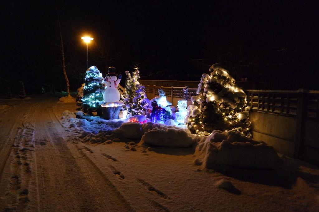 a display of christmas trees and lights in the snow at Chalet Hertzland in Ranspach