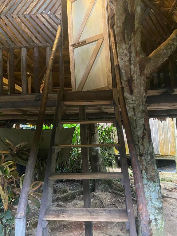Mynd úr myndasafni af Casa do Xingú í Leticia