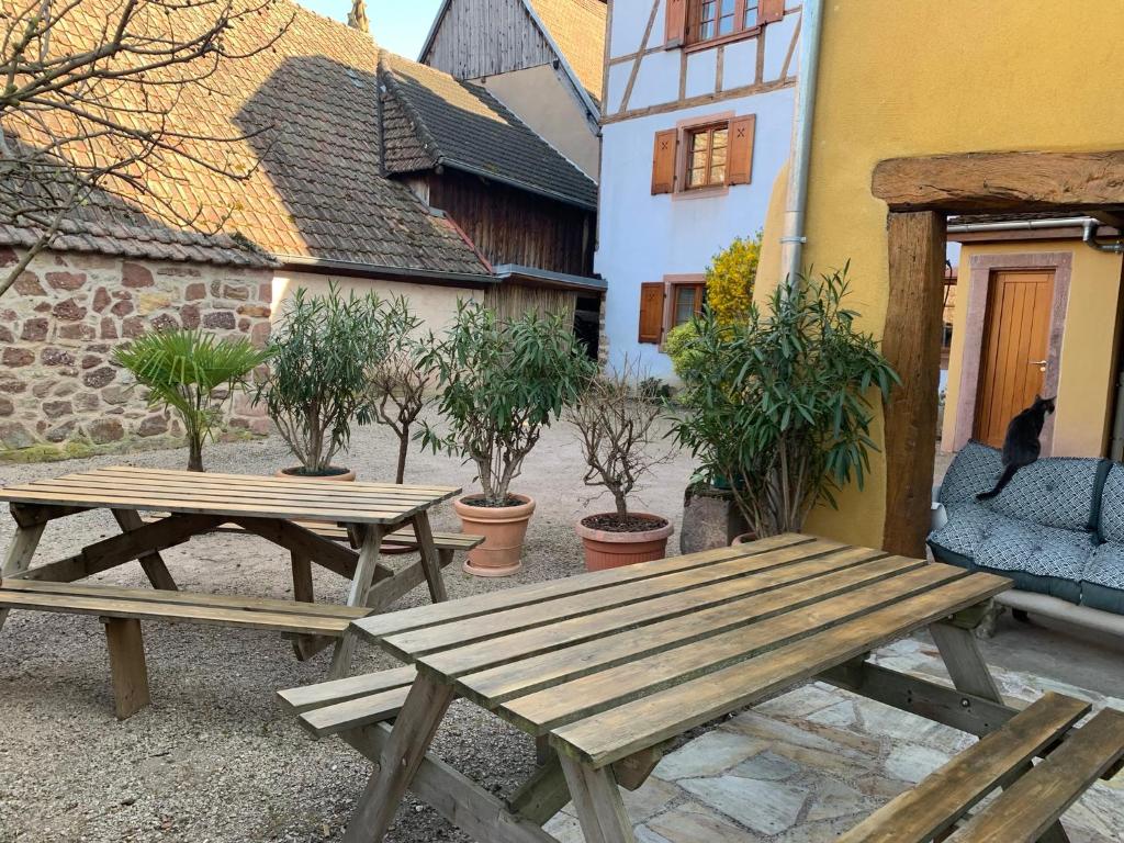 CHEZ SUZEL – photo 9