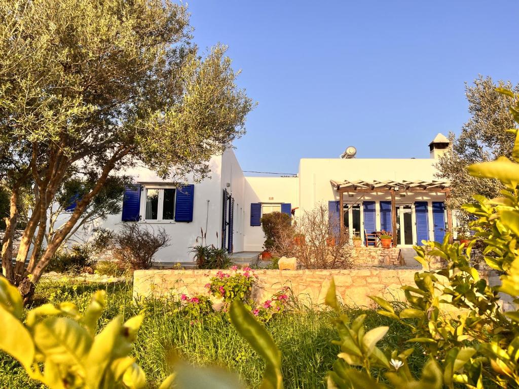 Κήπος έξω από το Villa Francesca