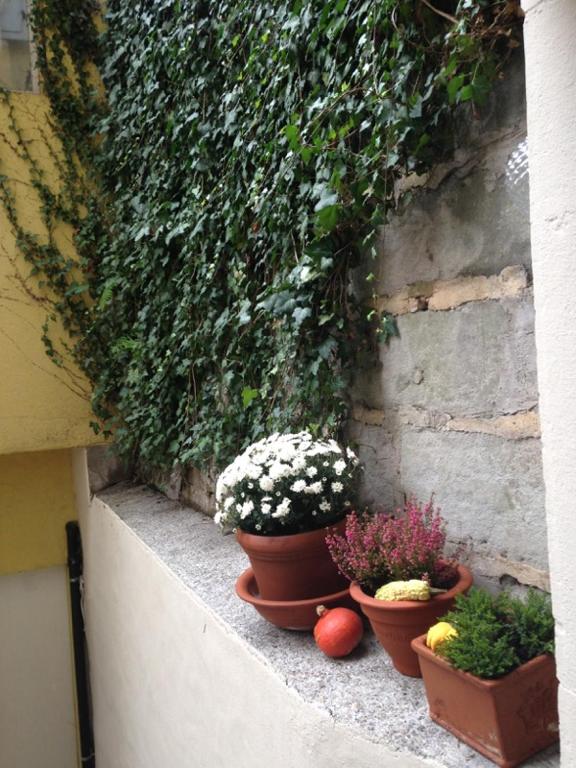 Studio SIEVA - Resim 30