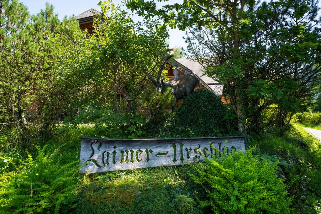 Zahrada ubytování Laimer Urschlag
