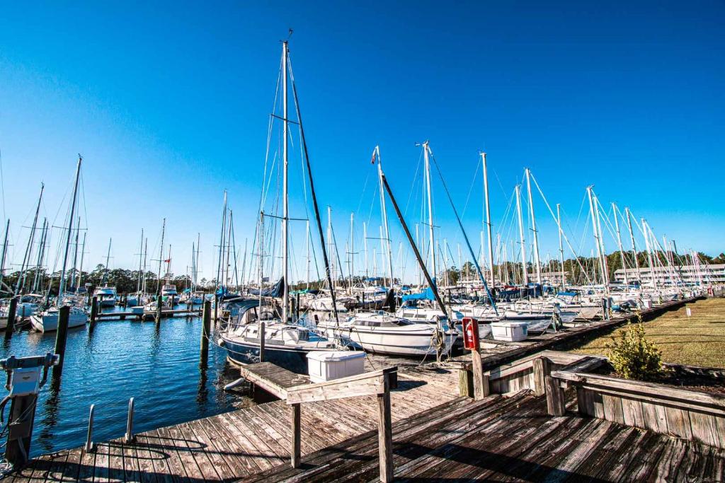 a bunch of boats docked in a harbor at Harbourside II Condos in New Bern