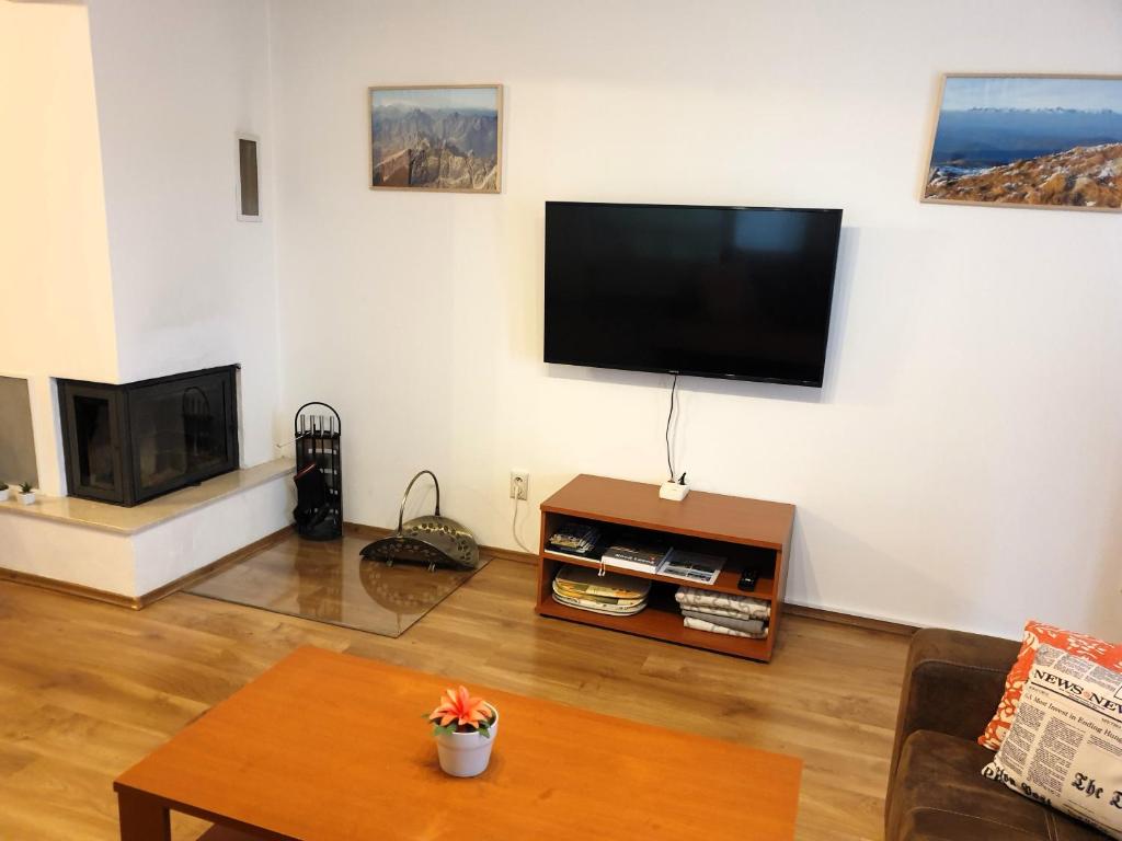 TV a/nebo společenská místnost v ubytování APARTMÁN SLAVKOV home & parking