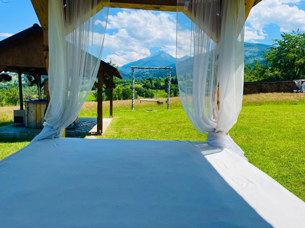 モイセイにあるCabana Maramures Landscapeの天蓋付きベッド