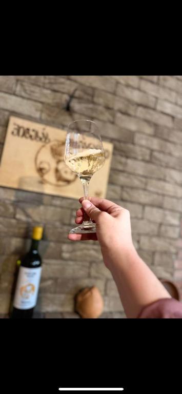 Nápoje v ubytování Wine tasting - Kitesa's wine cellar