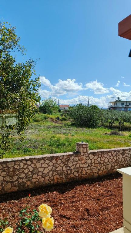 Táj Show holiday homes közelében