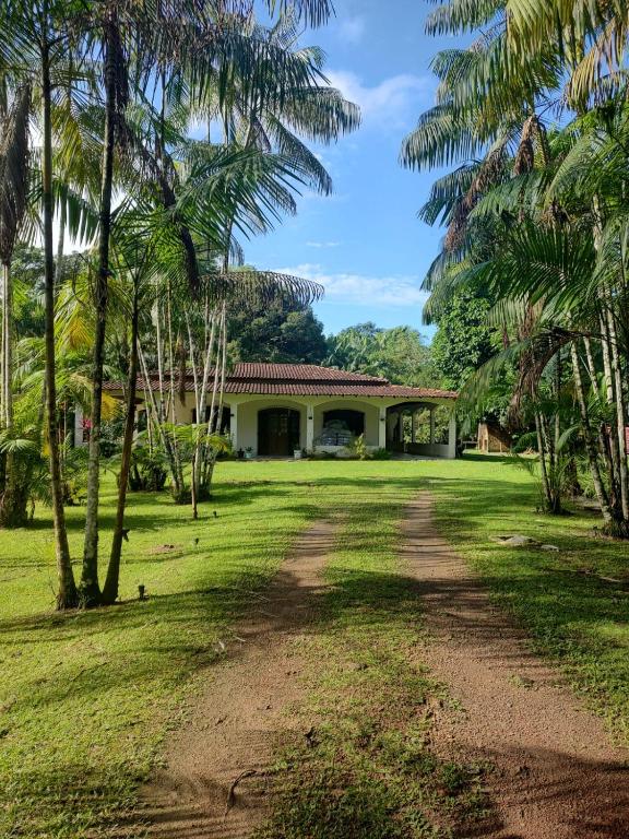 a house with palm trees and a dirt road at Chácara Bela Vista in Benevides