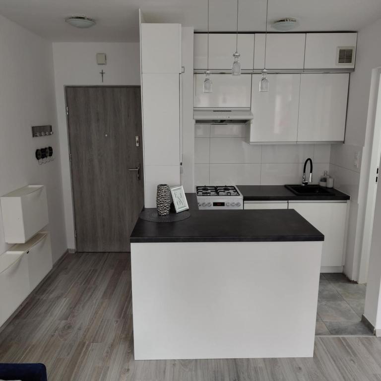 Η κουζίνα ή μικρή κουζίνα στο Mieszkanie Kłodzko Centrum