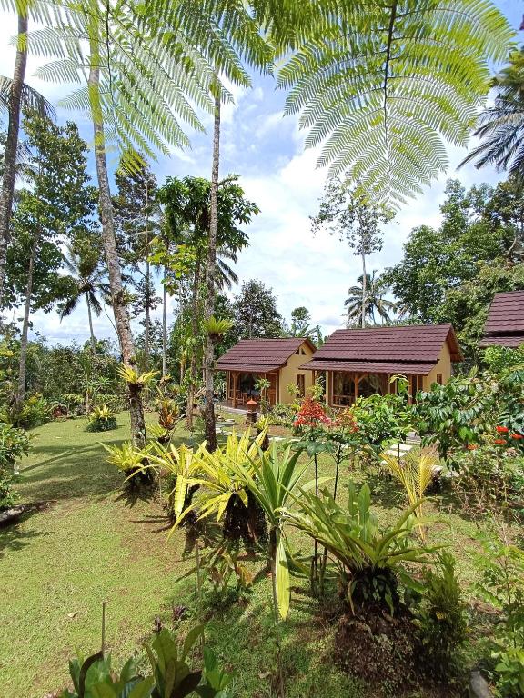 لابی و فضای عمومی D'Jungle Eco Stay - تصویر ۵