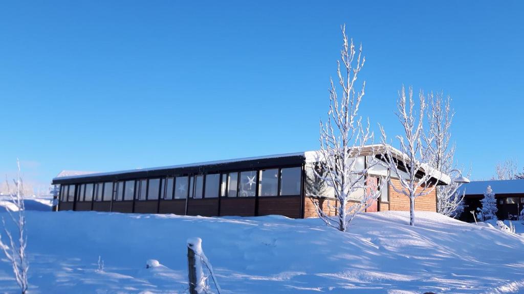 Geysir Hestar v zimě