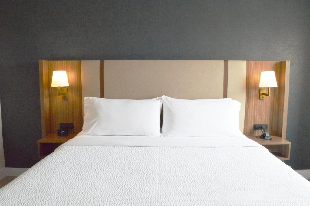 Holiday Inn & Suites Winnipeg Downtown by IHG - Resim 19