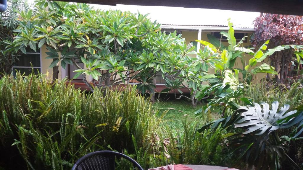 a garden with tall grass and plants in front of a building at Tupa Hotel in Hanga Roa