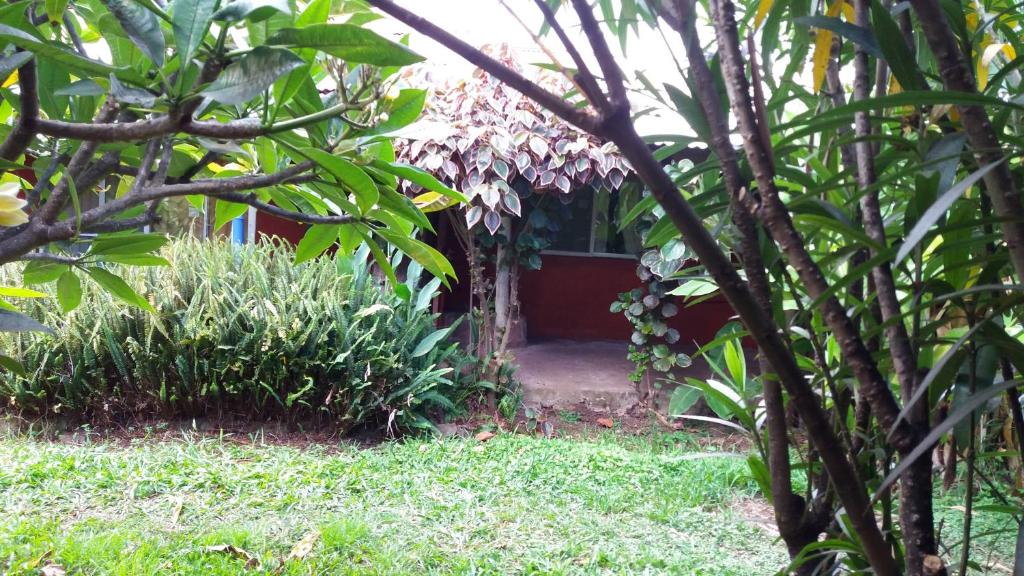 a small house in the middle of a garden at Tupa Hotel in Hanga Roa