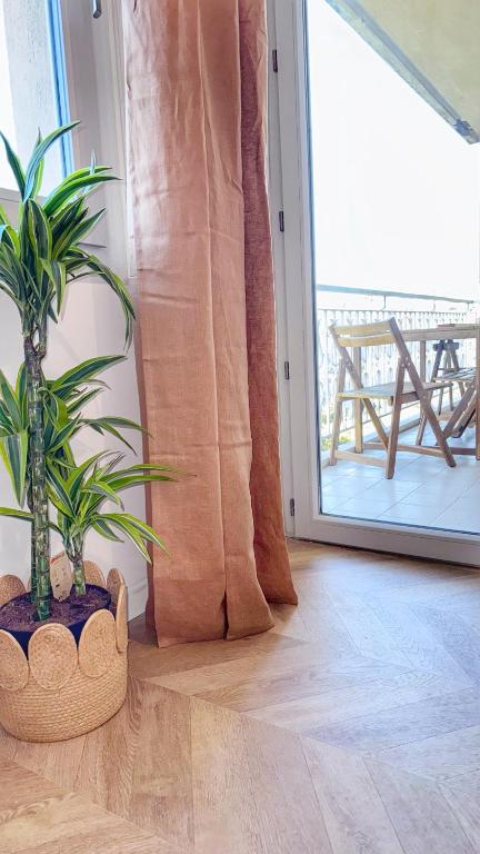 Cette chambre dispose de parquet et d'une plante en pot. dans l'établissement Mont Joli, au Cannet