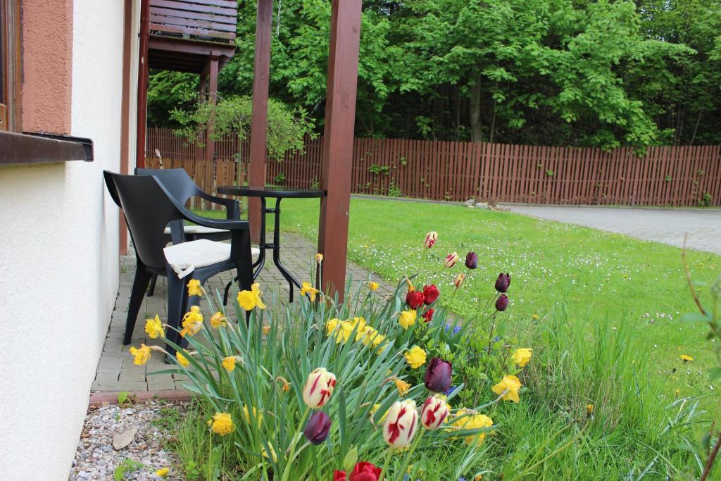 Vonkajšia záhrada v ubytovaní Apartament Kolorowy pod Śnieżką