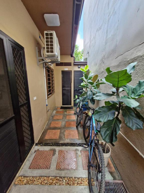 Jízda na kole v ubytování Casa Roberto Transient Room#2 nebo okolí