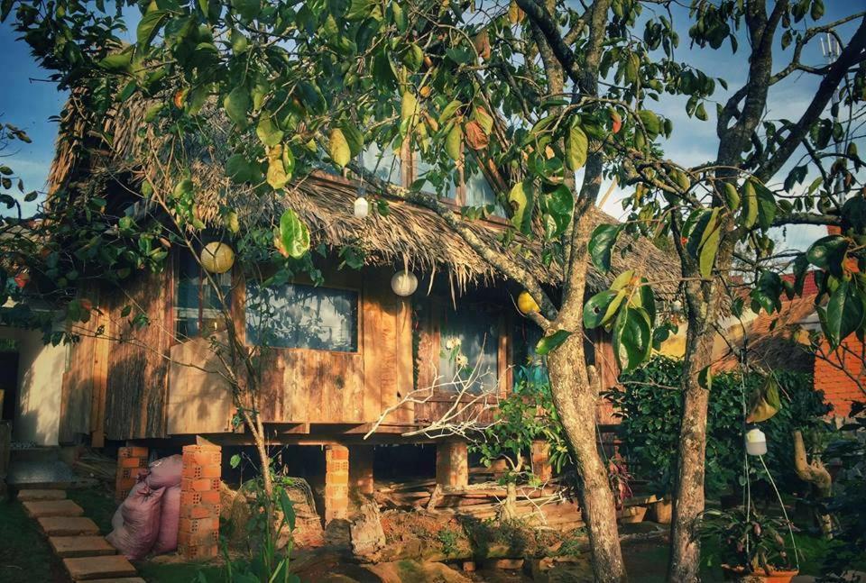 Zahrada ubytování Đà Lạt Củi Homestay