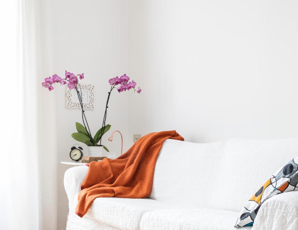 Lovely Sempione Apartment - 3