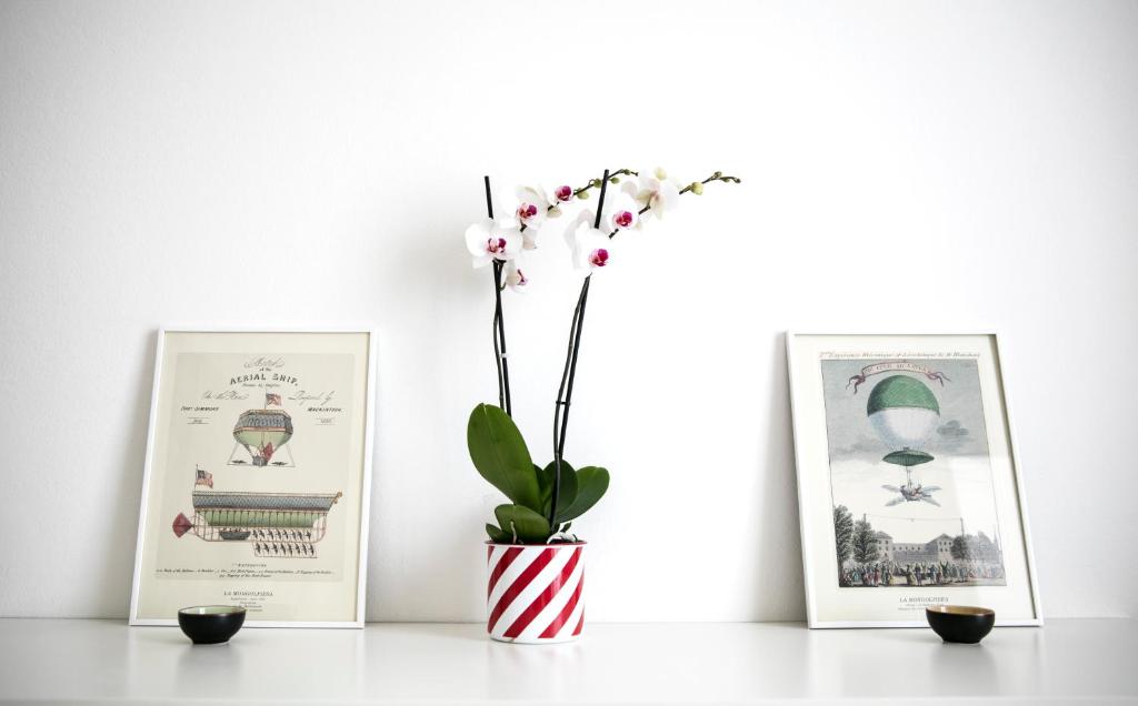 Lovely Sempione Apartment - 8