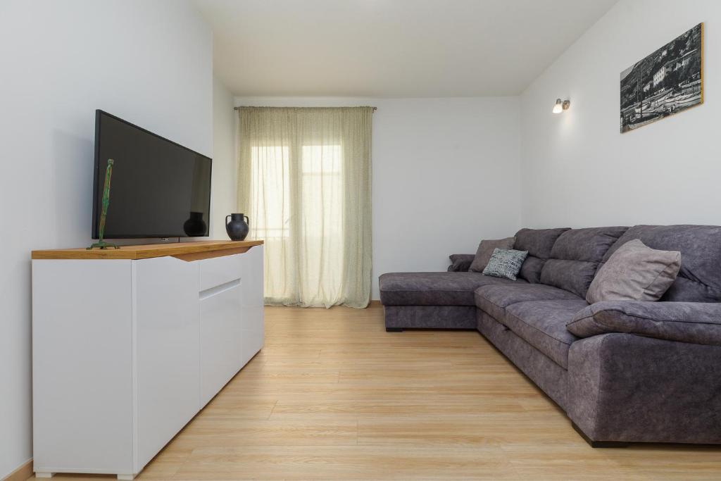 TV a/nebo společenská místnost v ubytování Apartments Ljiljana