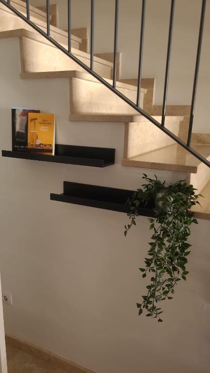 Fotografie z fotogalerie ubytování Casa del Sol v destinaci Puerto de Santiago
