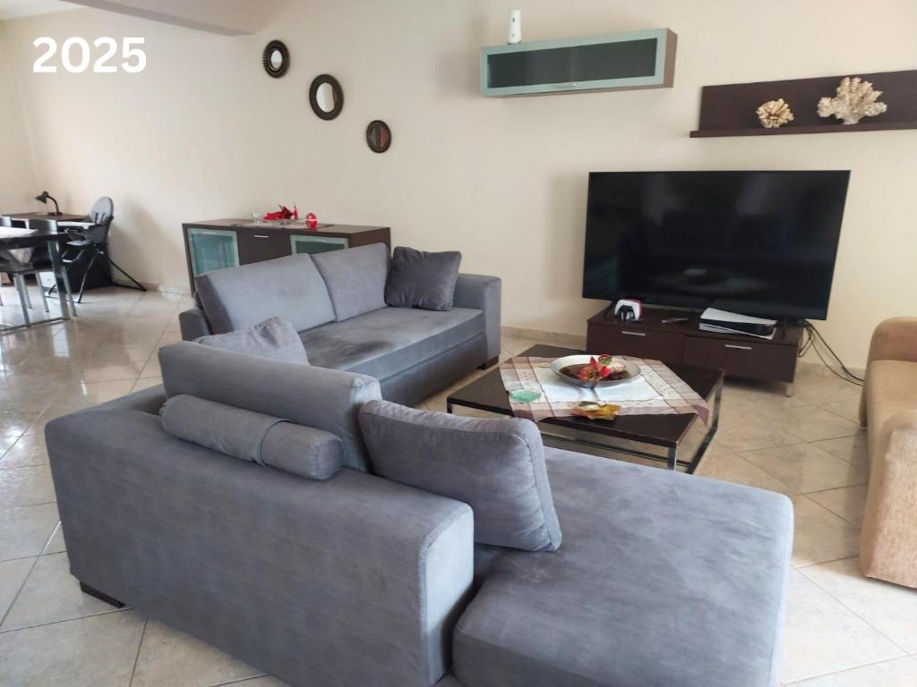 ネア・ムダニアにあるAzure Apartment Nea Moudaniaのソファとテレビのあるリビングルーム