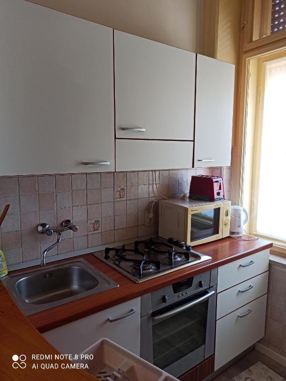 Kuchyňa alebo kuchynka v ubytovaní Studio apartman Lea