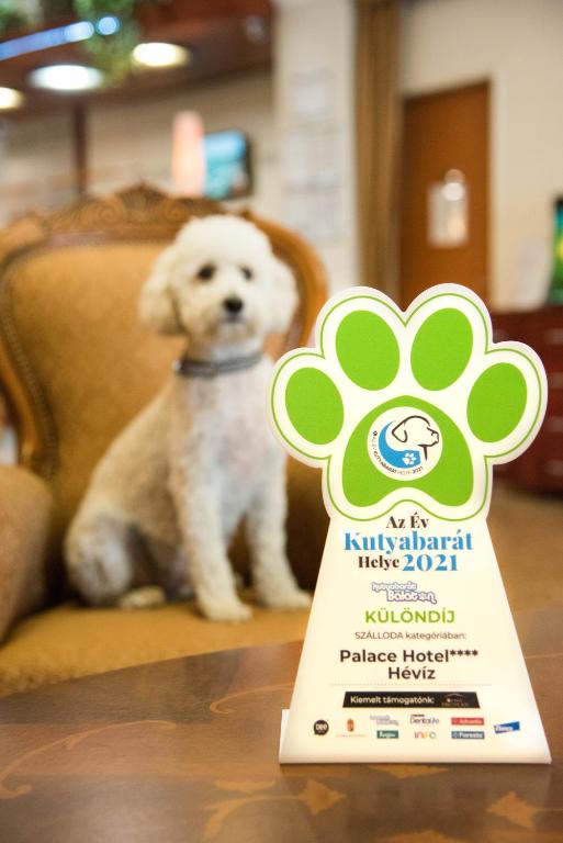 Palace Hotel Hévíz - Resim 4